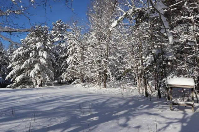 $274,900 | 15660 Co Hwy M, Cable, WI 54821