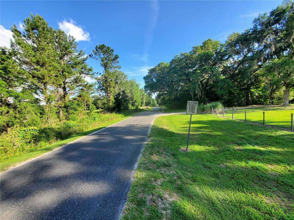0 Northwest 115th Avenue Reddick, FL 32686 - Photo 2 of 10 a view of a big yard with a large tree