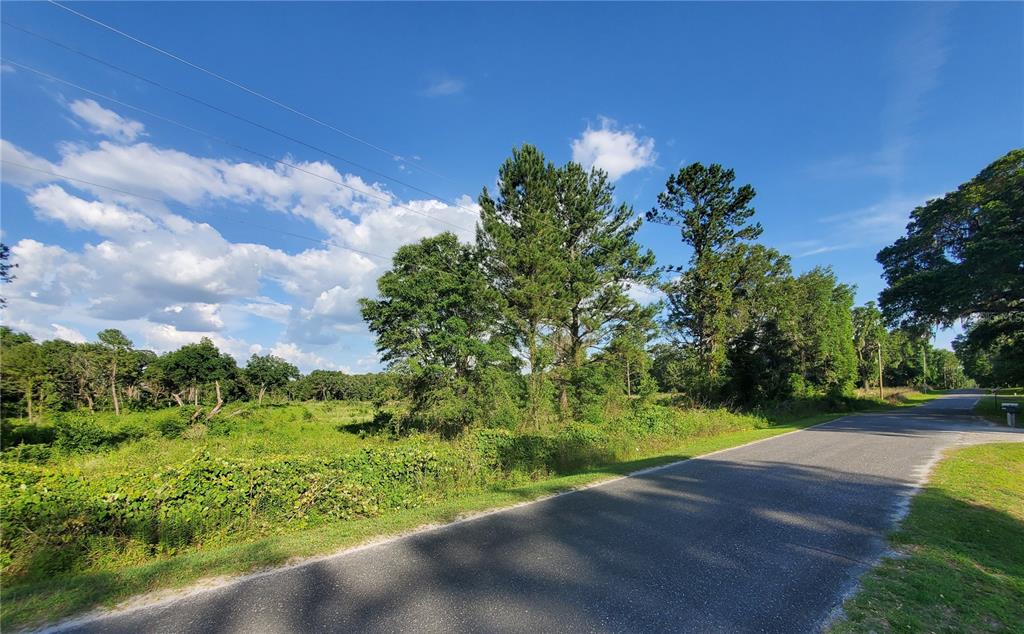 0 Northwest 115th Avenue Reddick, FL 32686 - Photo 3 of 10 a view of a yard with plants and a bench