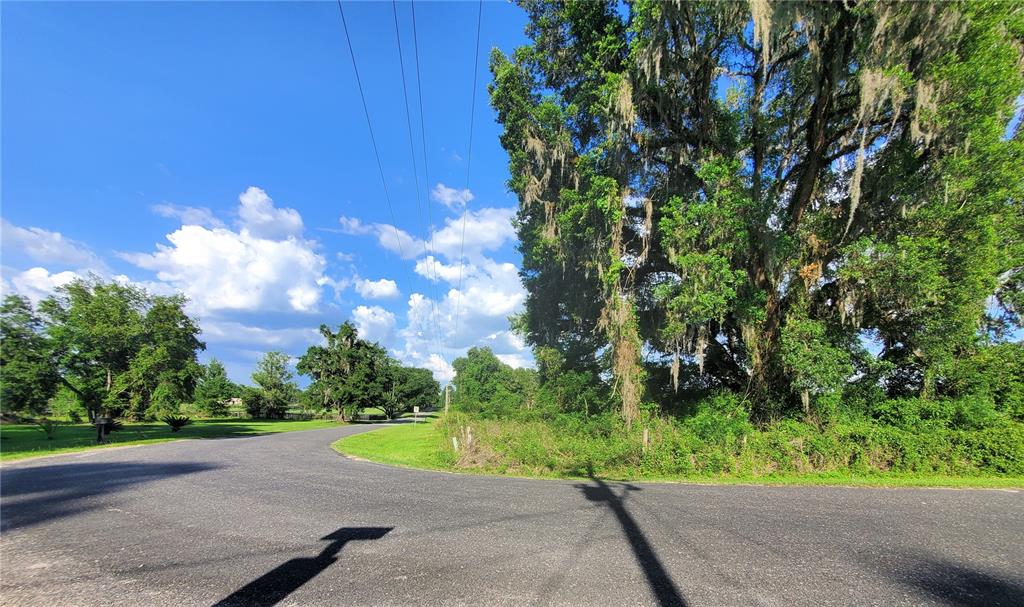 0 Northwest 115th Avenue Reddick, FL 32686 - Photo 4 of 10 a view of a street with a yard