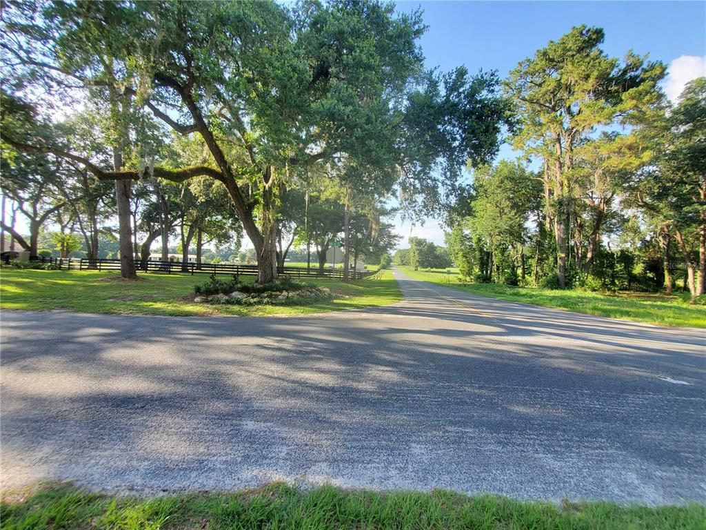 0 Northwest 115th Avenue Reddick, FL 32686 - Photo 6 of 10 a view of a yard