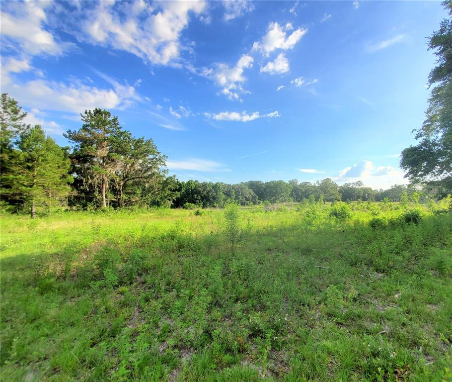 0 Northwest 115th Avenue Reddick, FL 32686 - Photo 10 of 10 a view of a green field