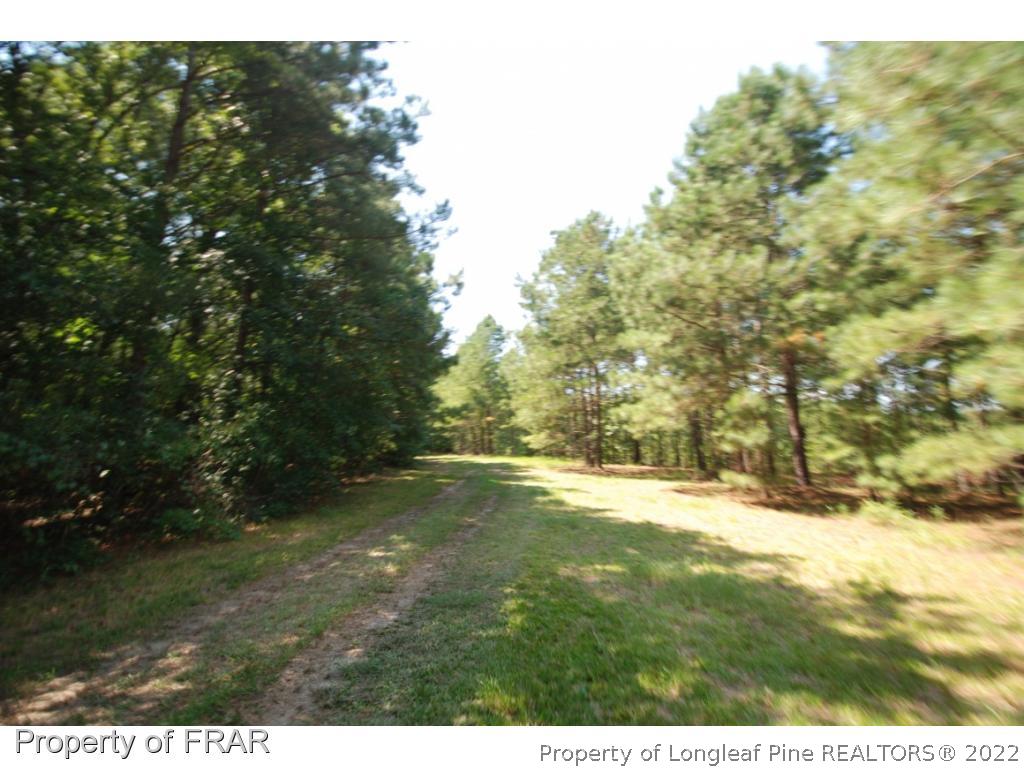 Titan Roberts Road Lillington, NC 27546 - Photo 10 of 16 Gallery Image 10