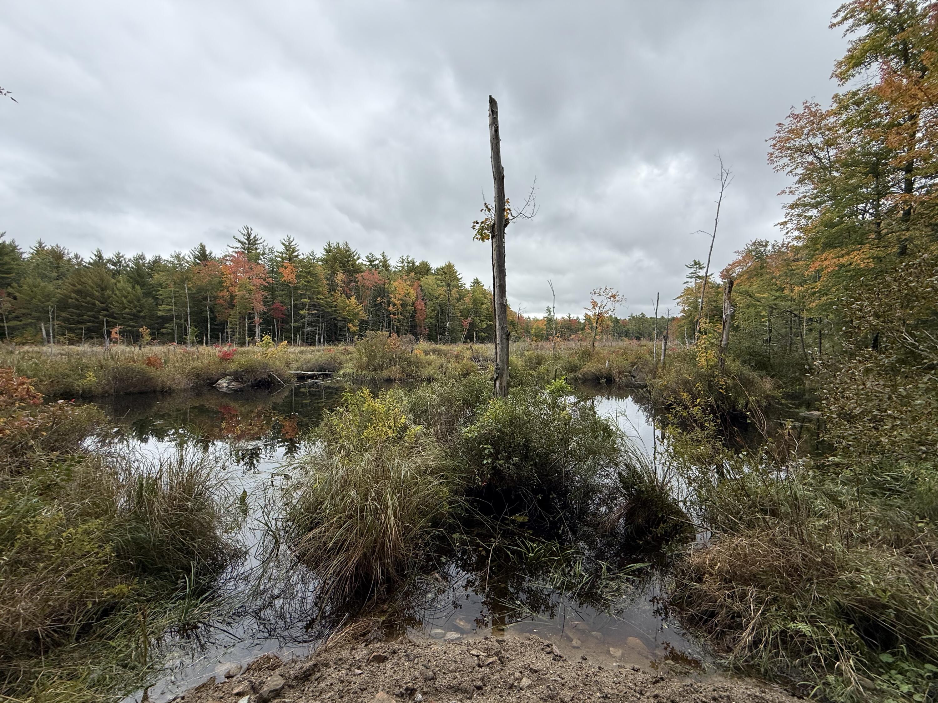 12 Bauneg Beg Road Lebanon, ME 04027 - Photo 12 of 19 MapR10 Lot12 Sanford