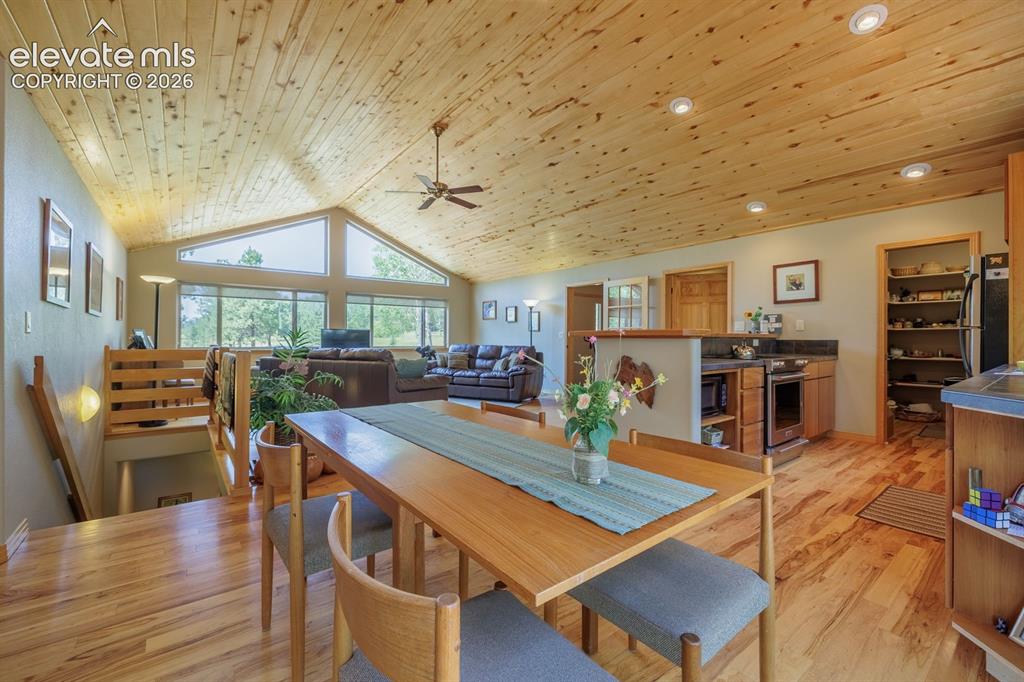 392 Aspen Village Road Divide, CO 80814 - Photo 12 of 43