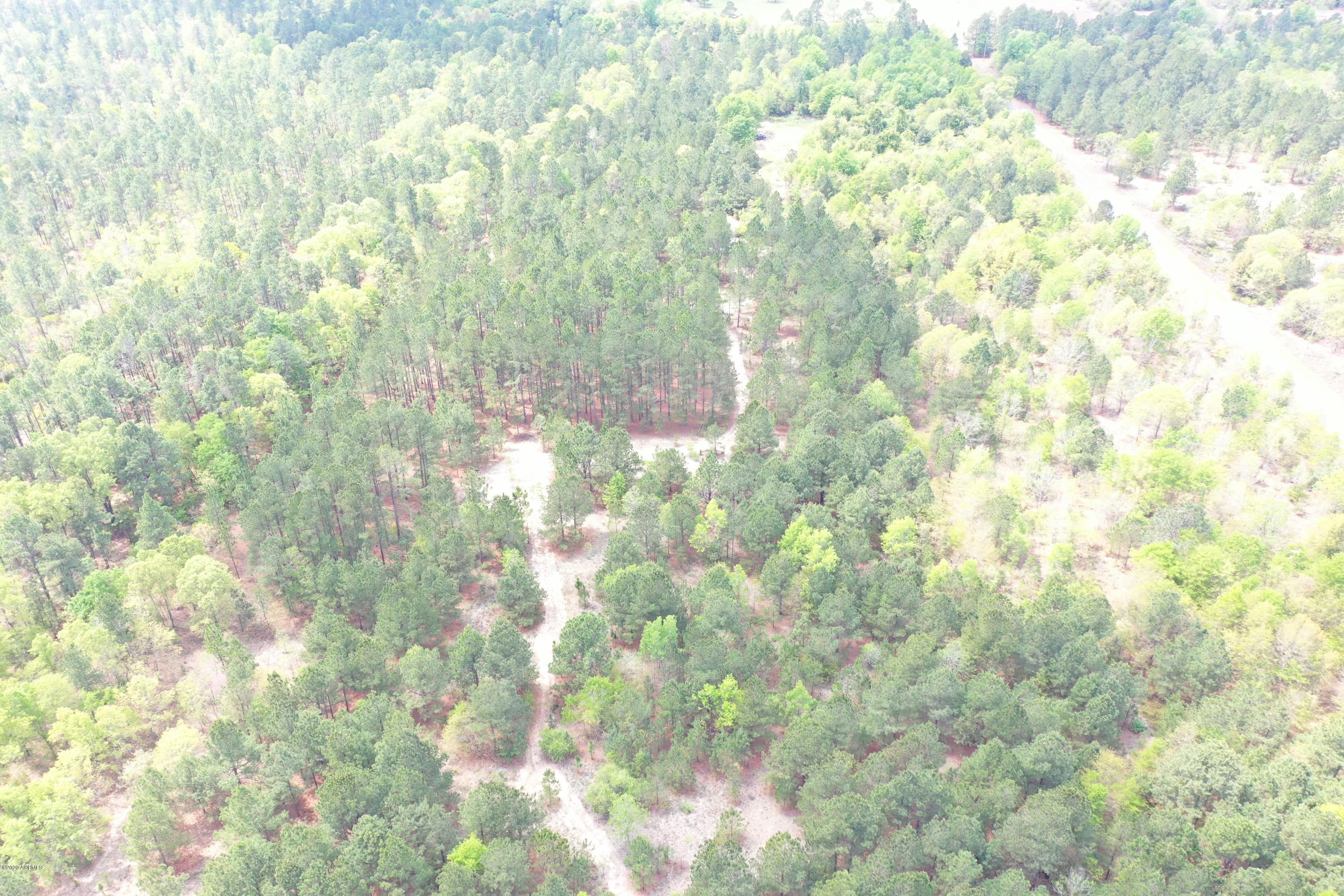 330 Whittle Pond Road Williston, SC 29853 - Photo 8 of 50 08