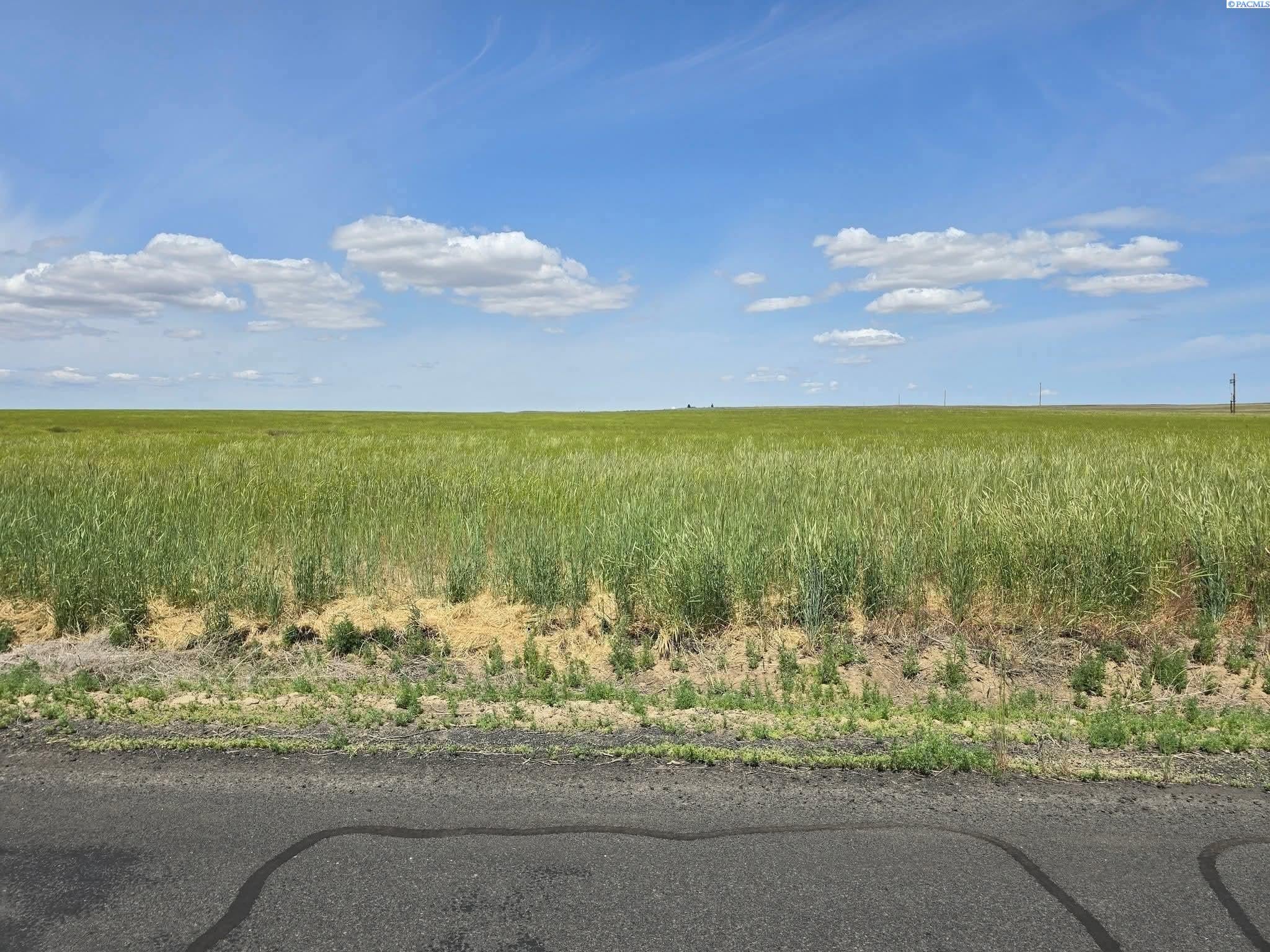 Tbd North Crosby Road Prosser, WA 99350 - Photo 12 of 17 Gallery Image 12