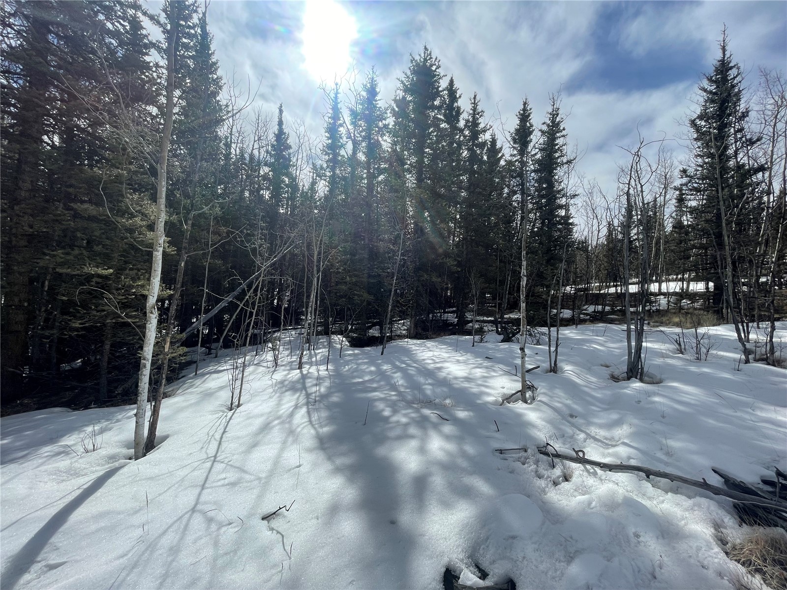 80 Haida Road Como, CO 80456 - Photo 21 of 31 a view of outdoor space with lots of trees
