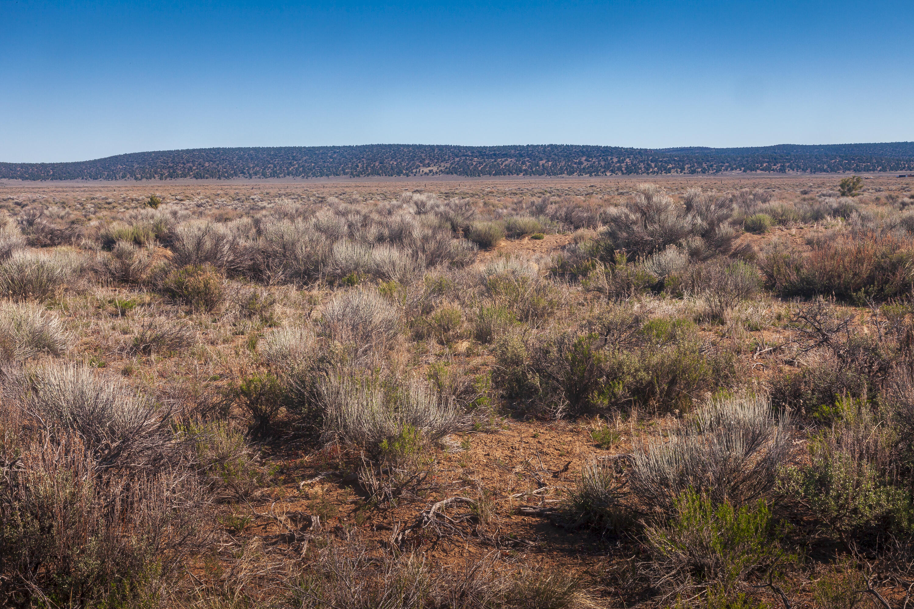 0 Ford Road Bend, OR 97701 - Photo 11 of 16 Southwest corner of the parcel (approximate) looking North.