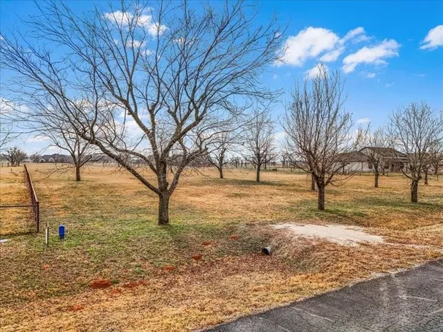 a view of yard with trees