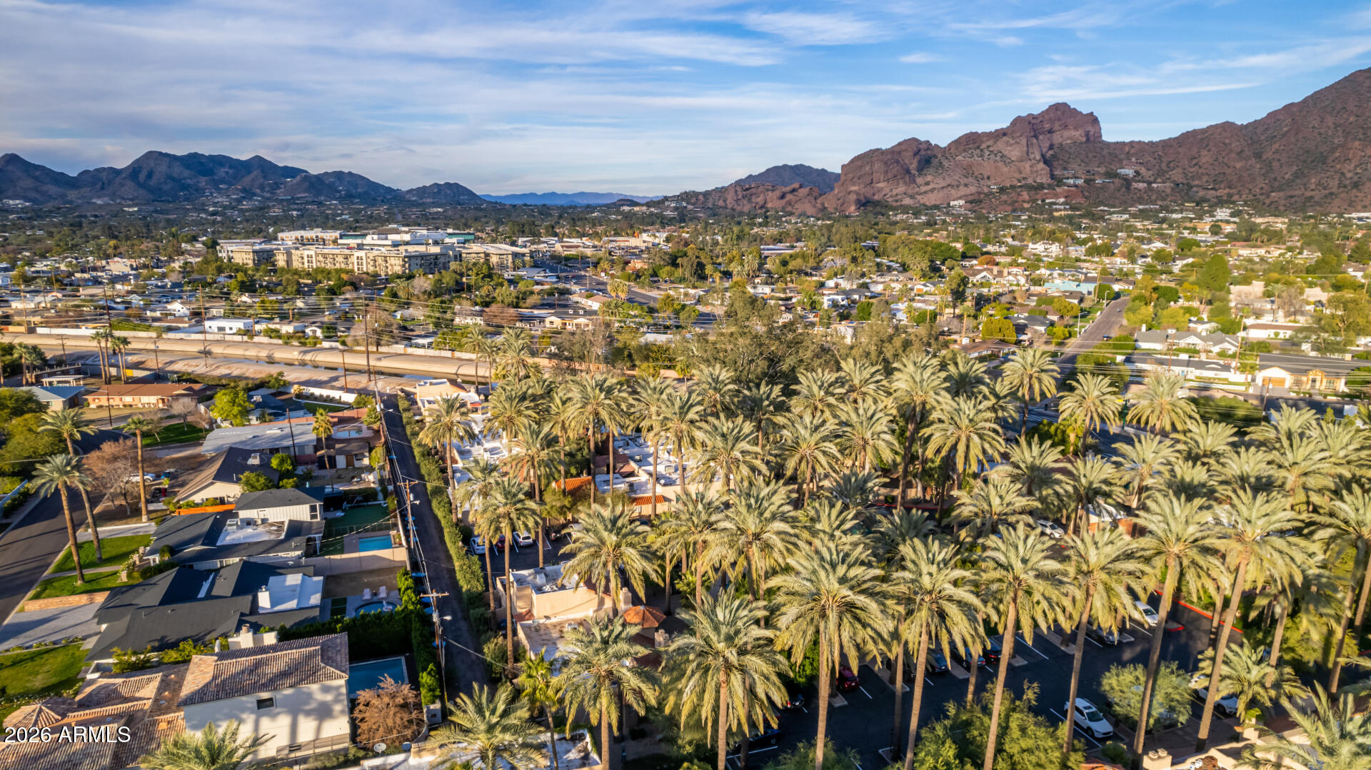 4540 North 44th Street, Unit 46 Phoenix, AZ 85018 - Photo 28 of 31 Lined palms