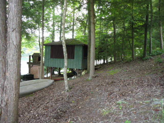 974 Fox Ridge Lane Caryville, TN 37714 - Photo 4 of 39 -
