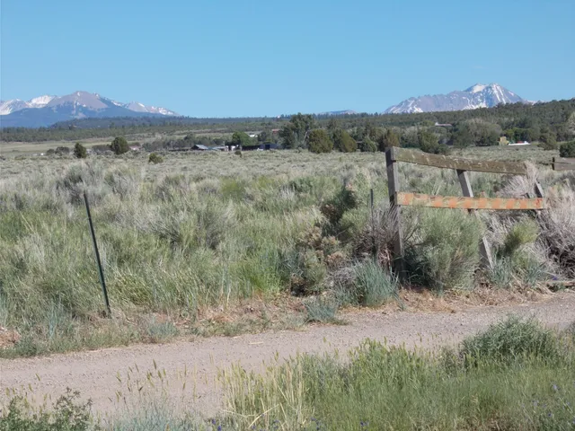a view of a dry yard with mountain