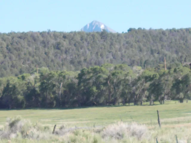 a view of a yard with a dry yard