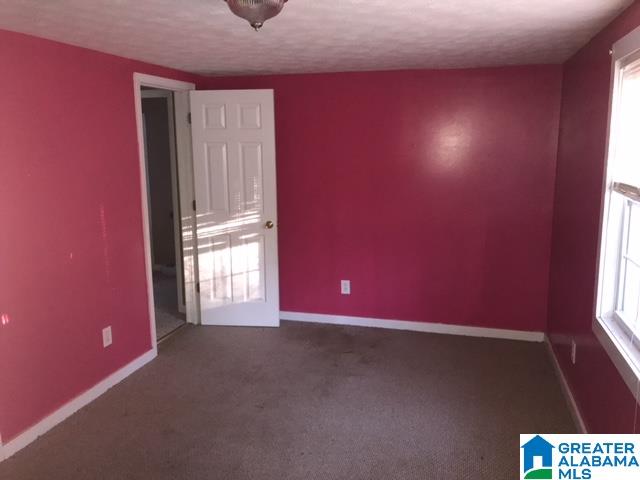 555 Charlie Penny Road Piedmont, AL 36272 - Photo 26 of 38