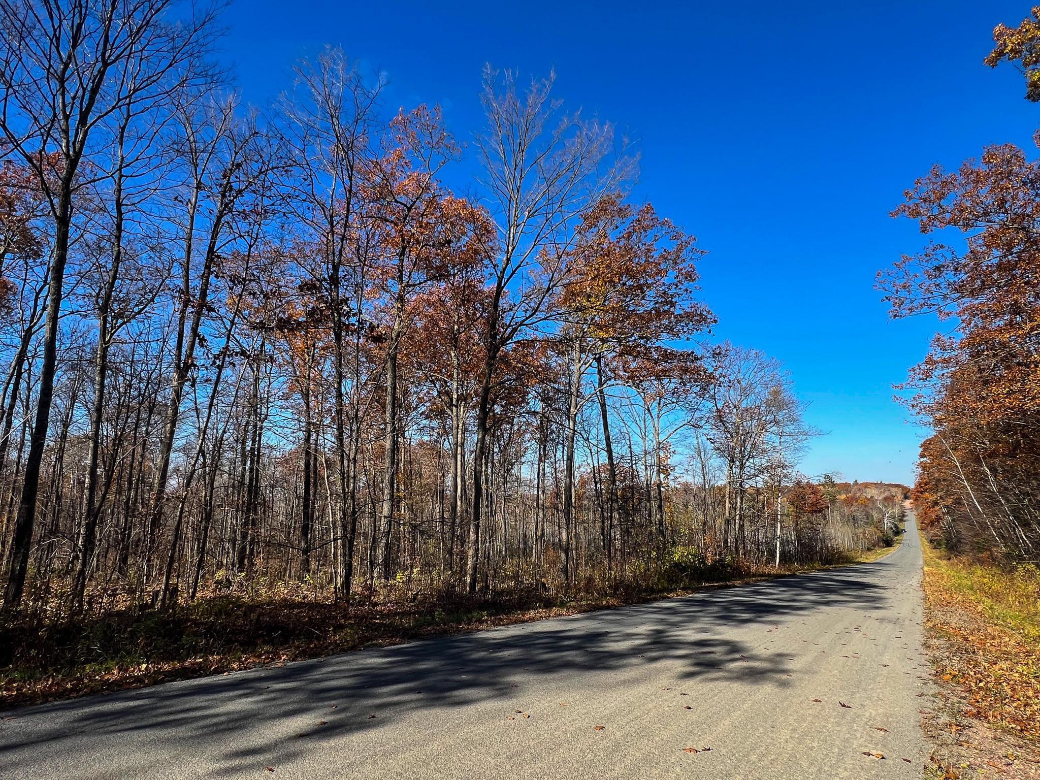 Lot 6 Breakneck Road Birchwood, WI 54817 - Photo 17 of 19
