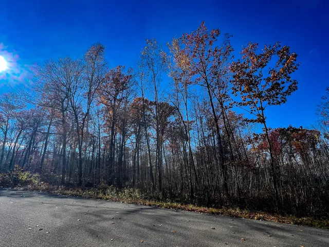 $74,900 | Lot 6 Breakneck Road, Birchwood, WI 54817