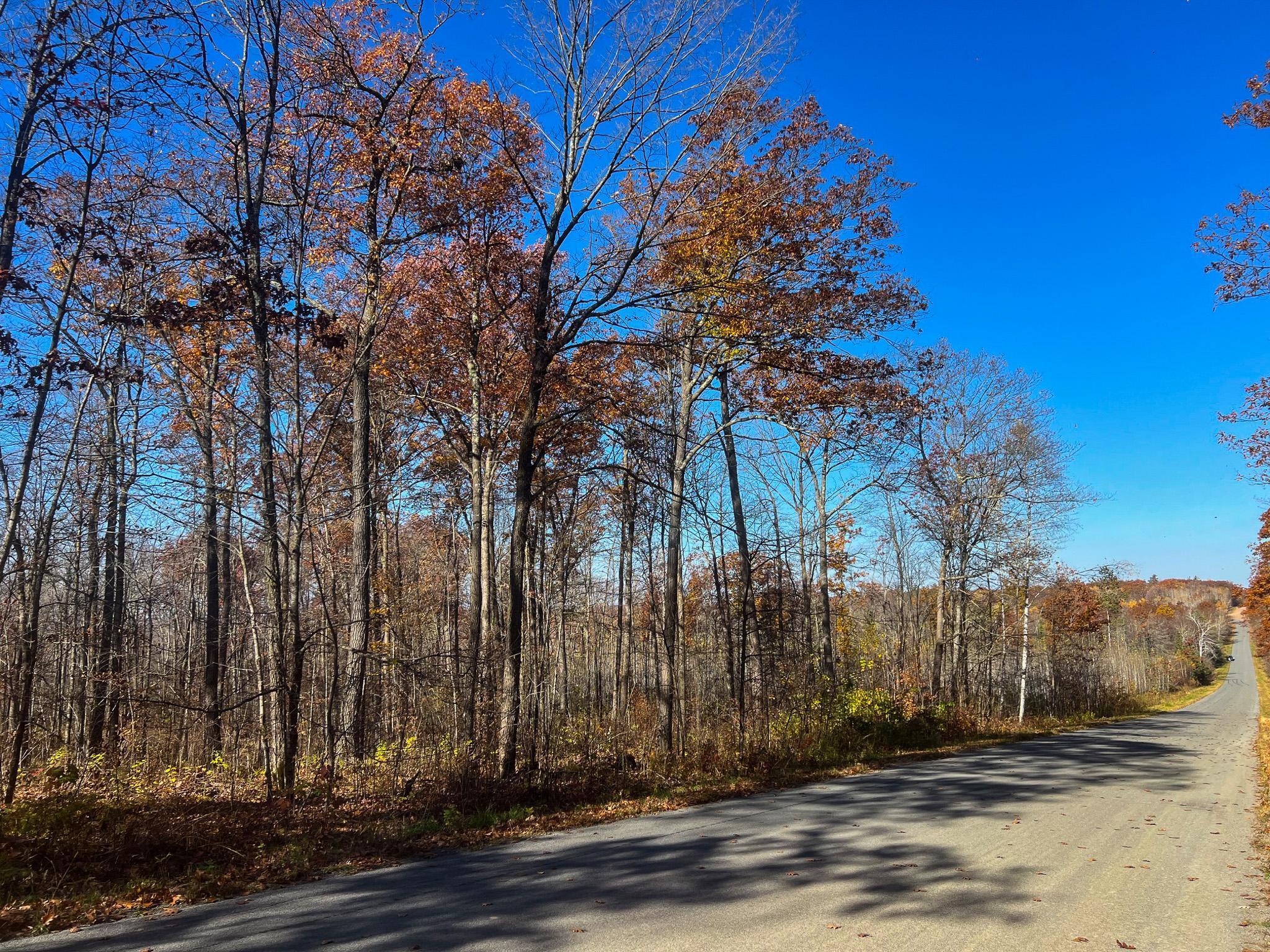Lot 6 Breakneck Road Birchwood, WI 54817 - Photo 19 of 19