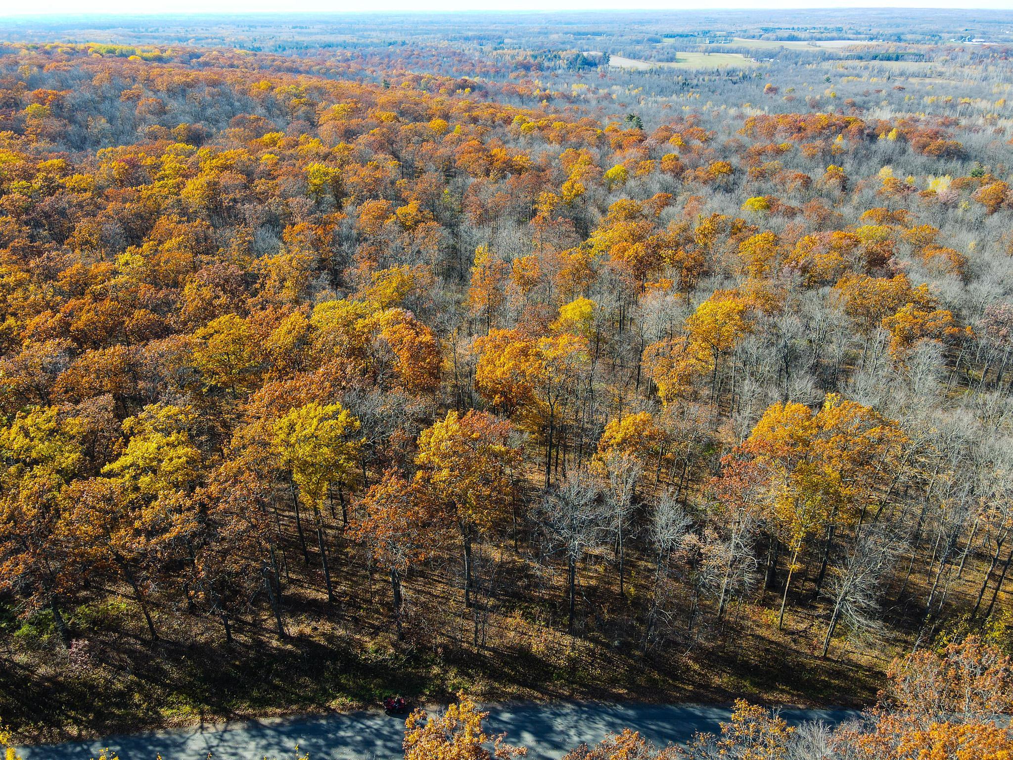 Lot 6 Breakneck Road Birchwood, WI 54817 - Photo 3 of 19