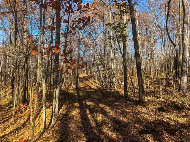 $74,900 | Lot 6 Breakneck Road, Birchwood, WI 54817