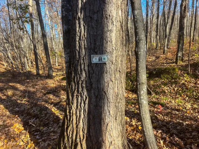 $74,900 | Lot 6 Breakneck Road, Birchwood, WI 54817