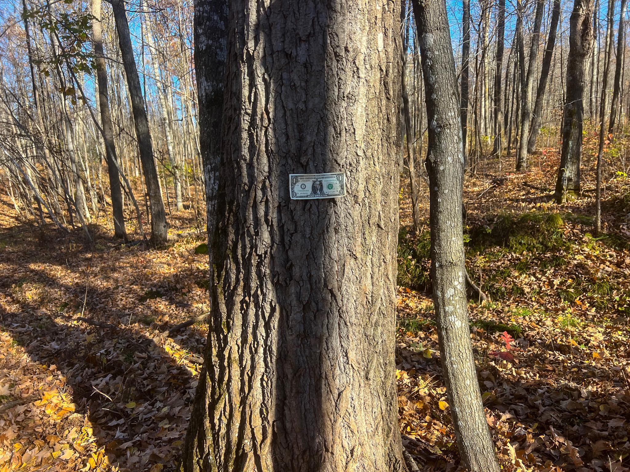 Lot 6 Breakneck Road Birchwood, WI 54817 - Photo 5 of 19