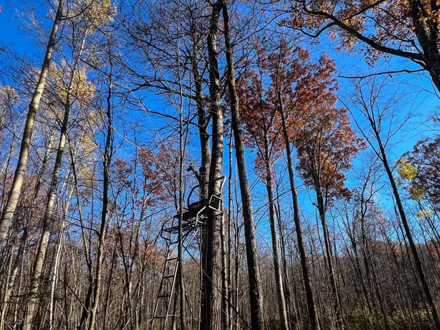 $74,900 | Lot 6 Breakneck Road, Birchwood, WI 54817