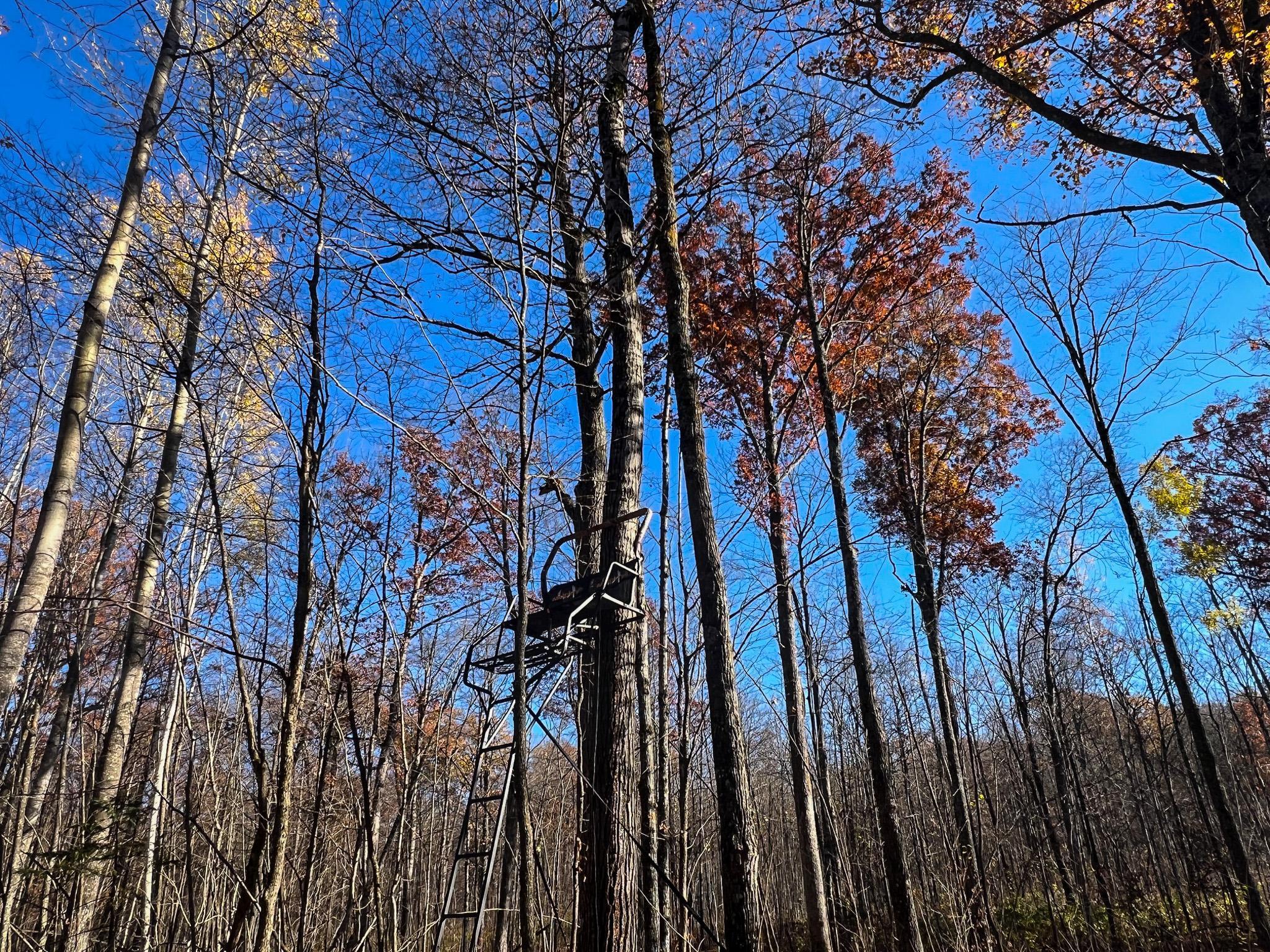 Lot 6 Breakneck Road Birchwood, WI 54817 - Photo 7 of 19