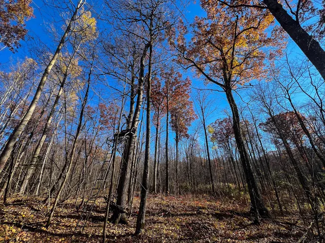 $74,900 | Lot 6 Breakneck Road, Birchwood, WI 54817