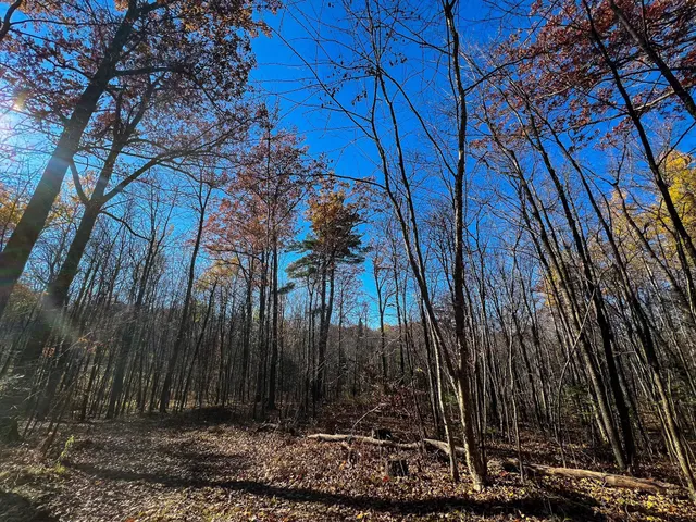 $74,900 | Lot 6 Breakneck Road, Birchwood, WI 54817