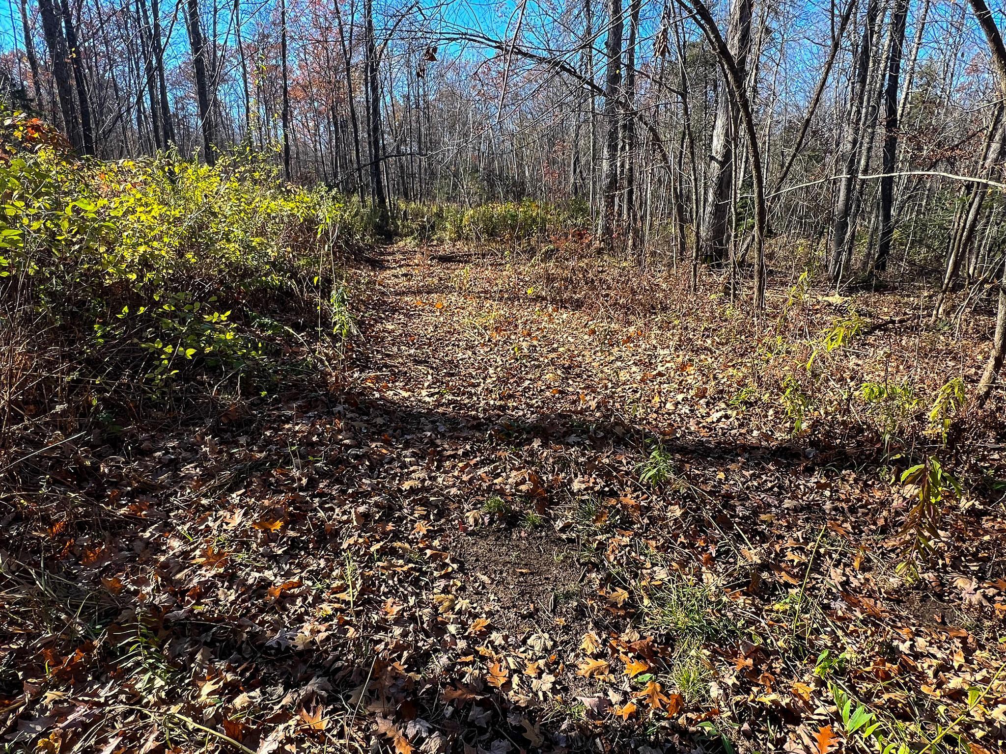 Lot 6 Breakneck Road Birchwood, WI 54817 - Photo 10 of 19