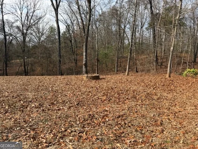 a view of a yard with trees