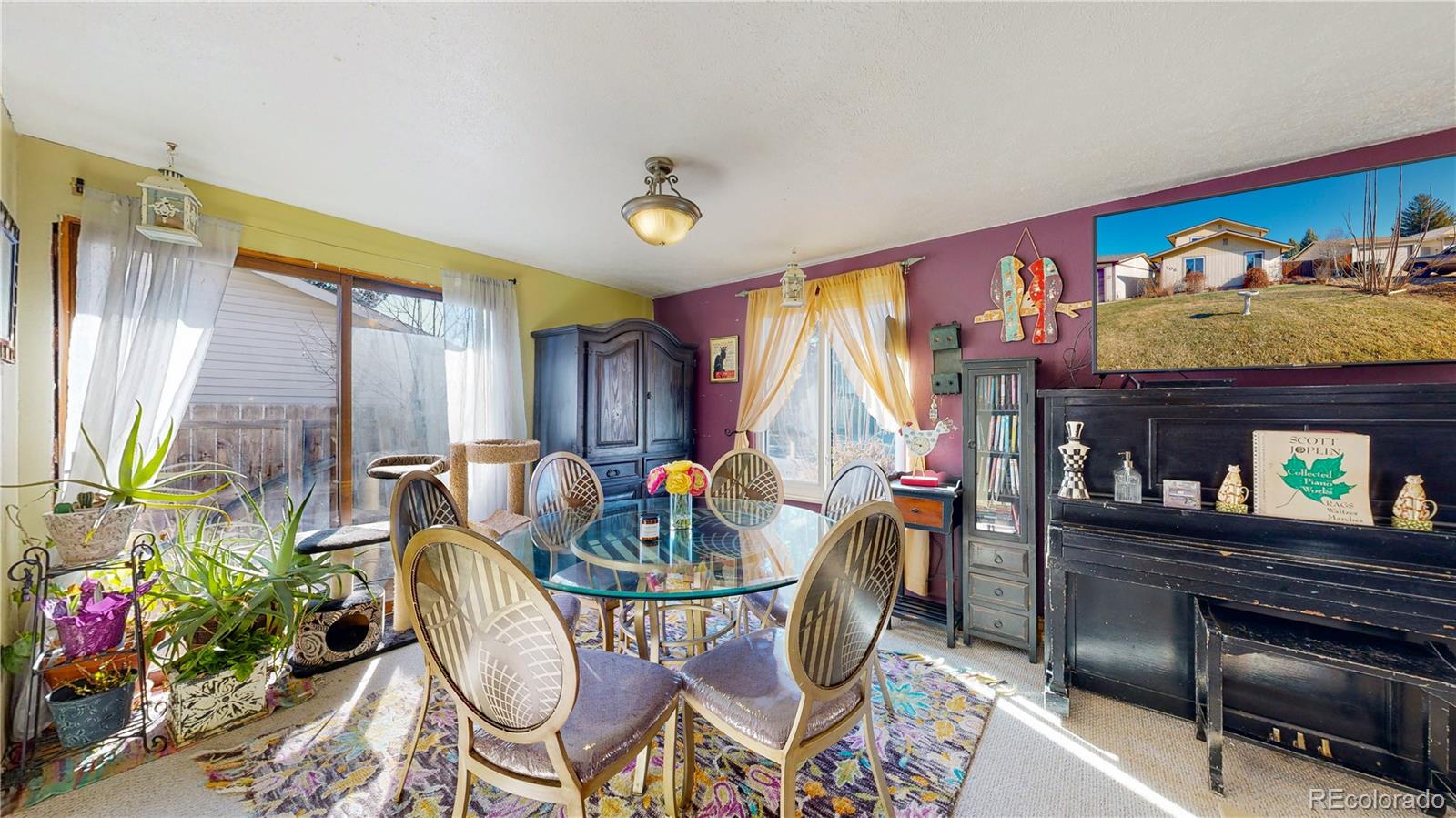 708 Independence Drive Longmont, CO 80504 - Photo 11 of 40 a living room with furniture a potted plant and a wooden floor