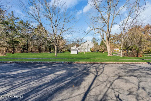 a view of a yard with plants and large tree