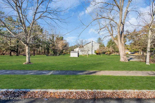 a view of a park with large trees