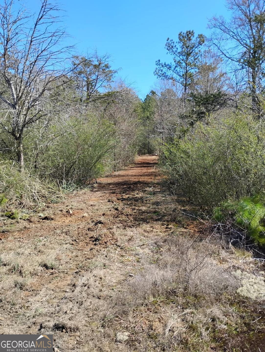 0 Costley Mill Road Northeast Conyers, GA 30013 - Photo 2 of 3 a view of a yard with a tree