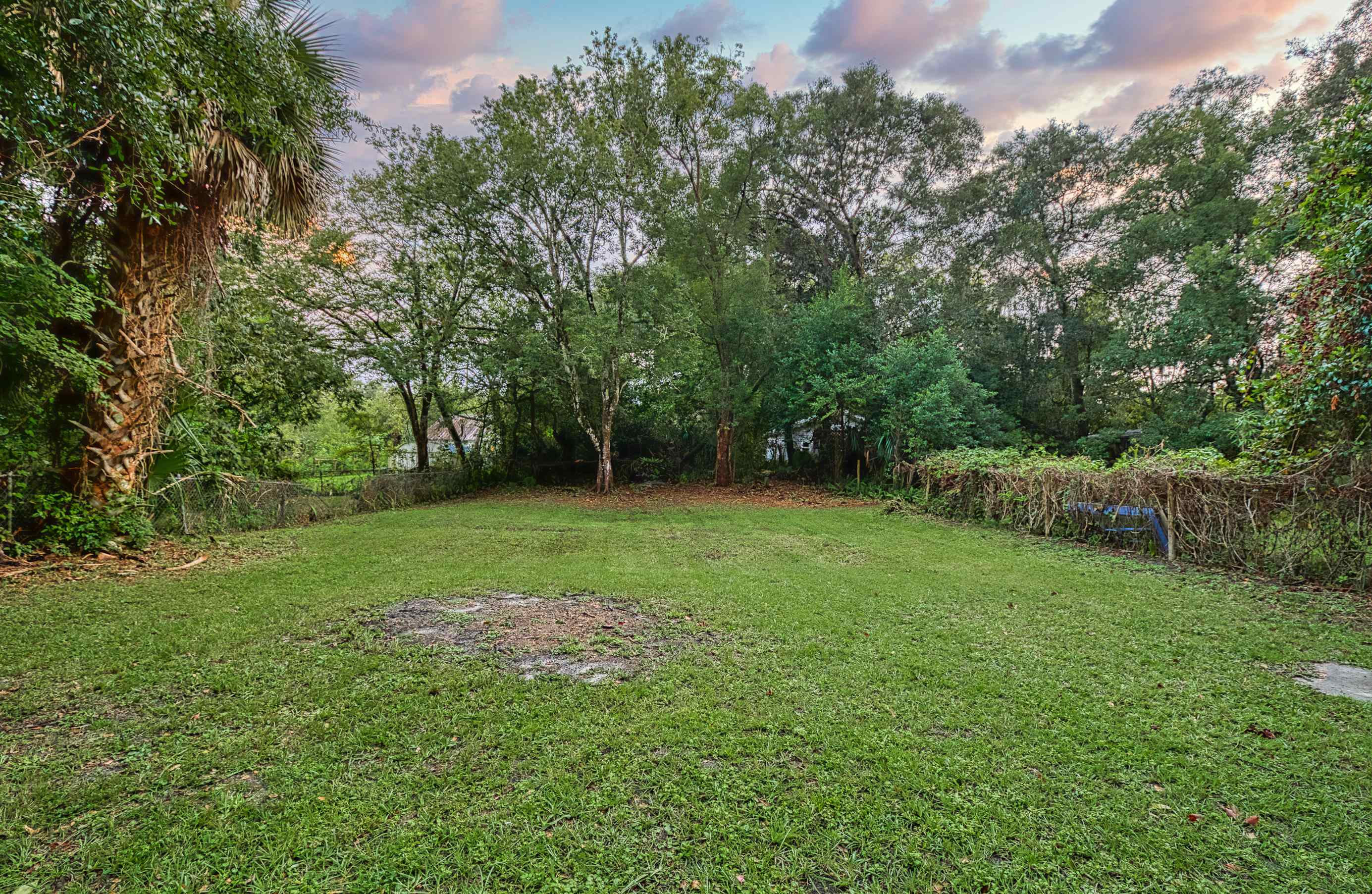 37 Phillips Street St. Augustine, FL 32084 - Photo 24 of 26 a view of green field with trees in the background
