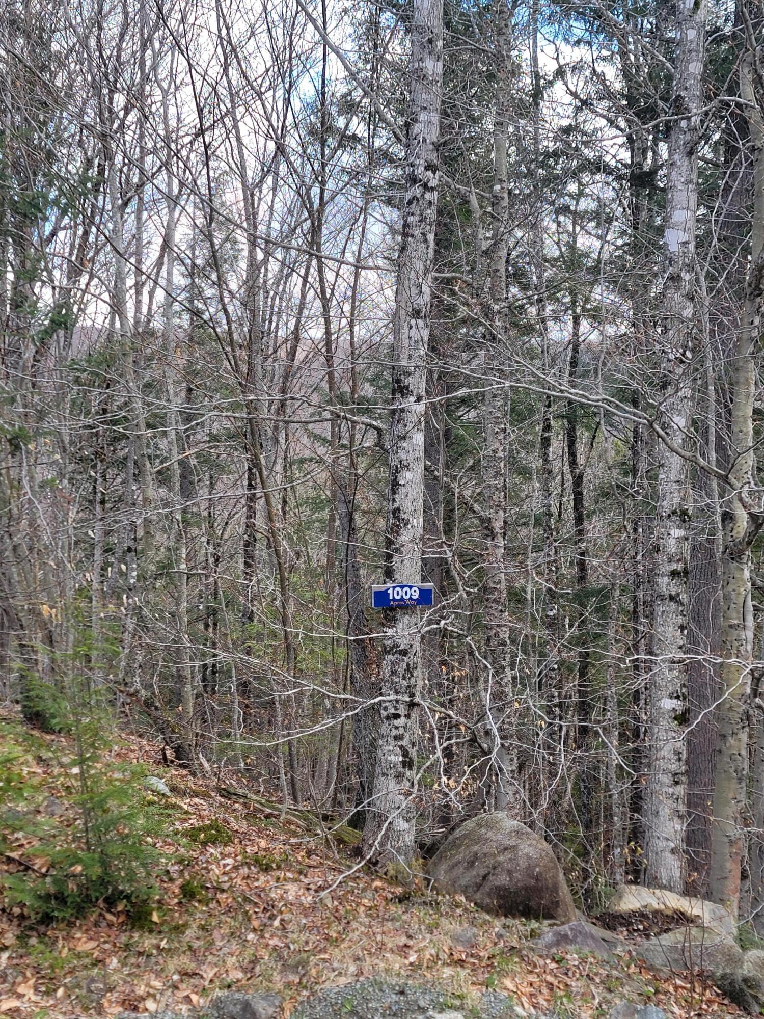 1009 Apres Way Kingfield, ME 04947 - Photo 3 of 20 10