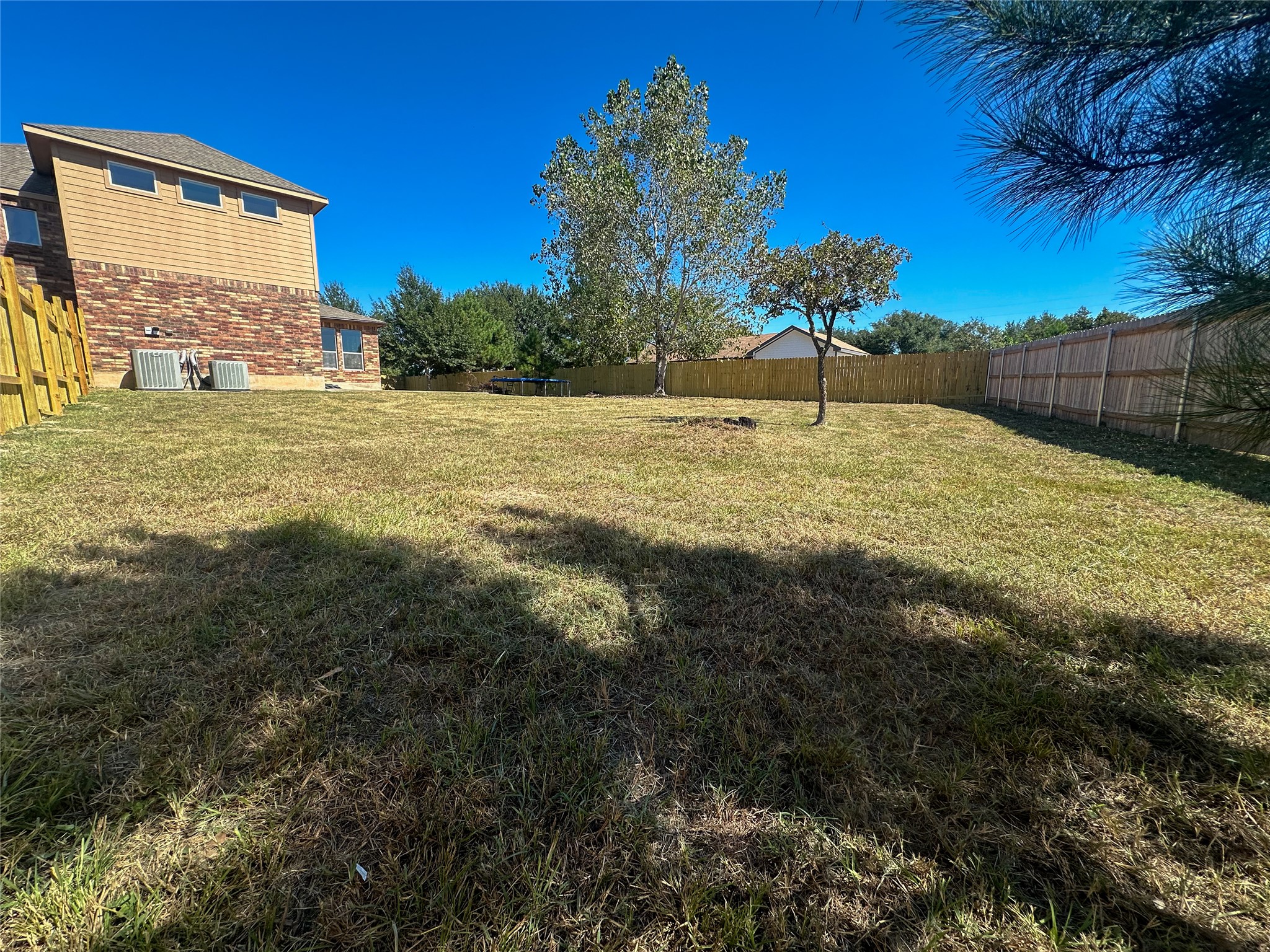 237 Cardinal Drive Paige, TX 78659 - Photo 34 of 37 View of fenced backyard