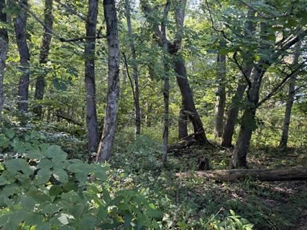 0 Golf Course Road, Unit TRACT 2 SKYLINEACRES) Waverly, OH 45690 - Photo 32 of 48 image032