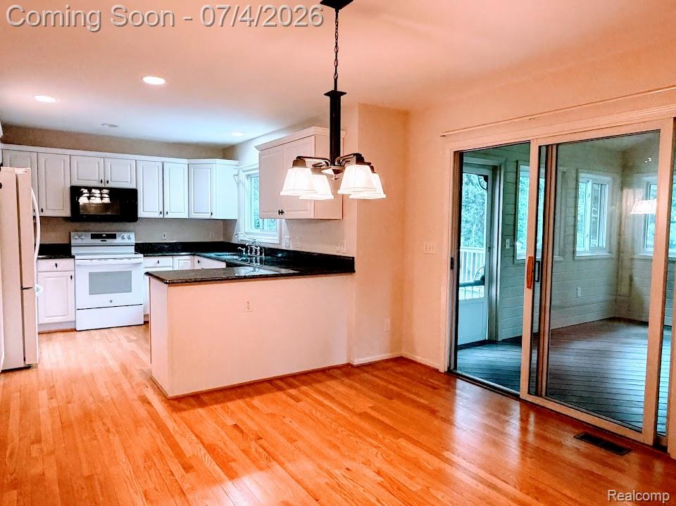 10928 Sunny Ridge Court Pinckney, MI 48169 - Photo 14 of 40 IMG_2510.jpg