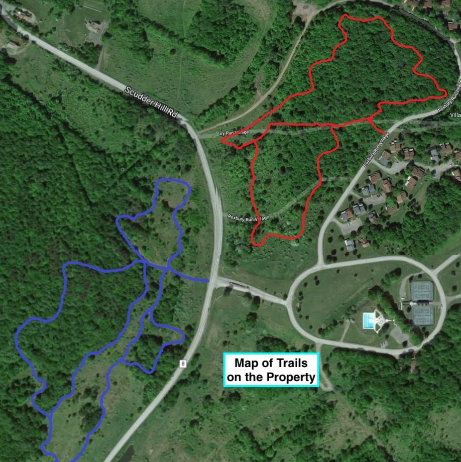 260 Pines Drive, Unit 810 Roxbury, NY 12421 - Photo 39 of 43 RRV Trails