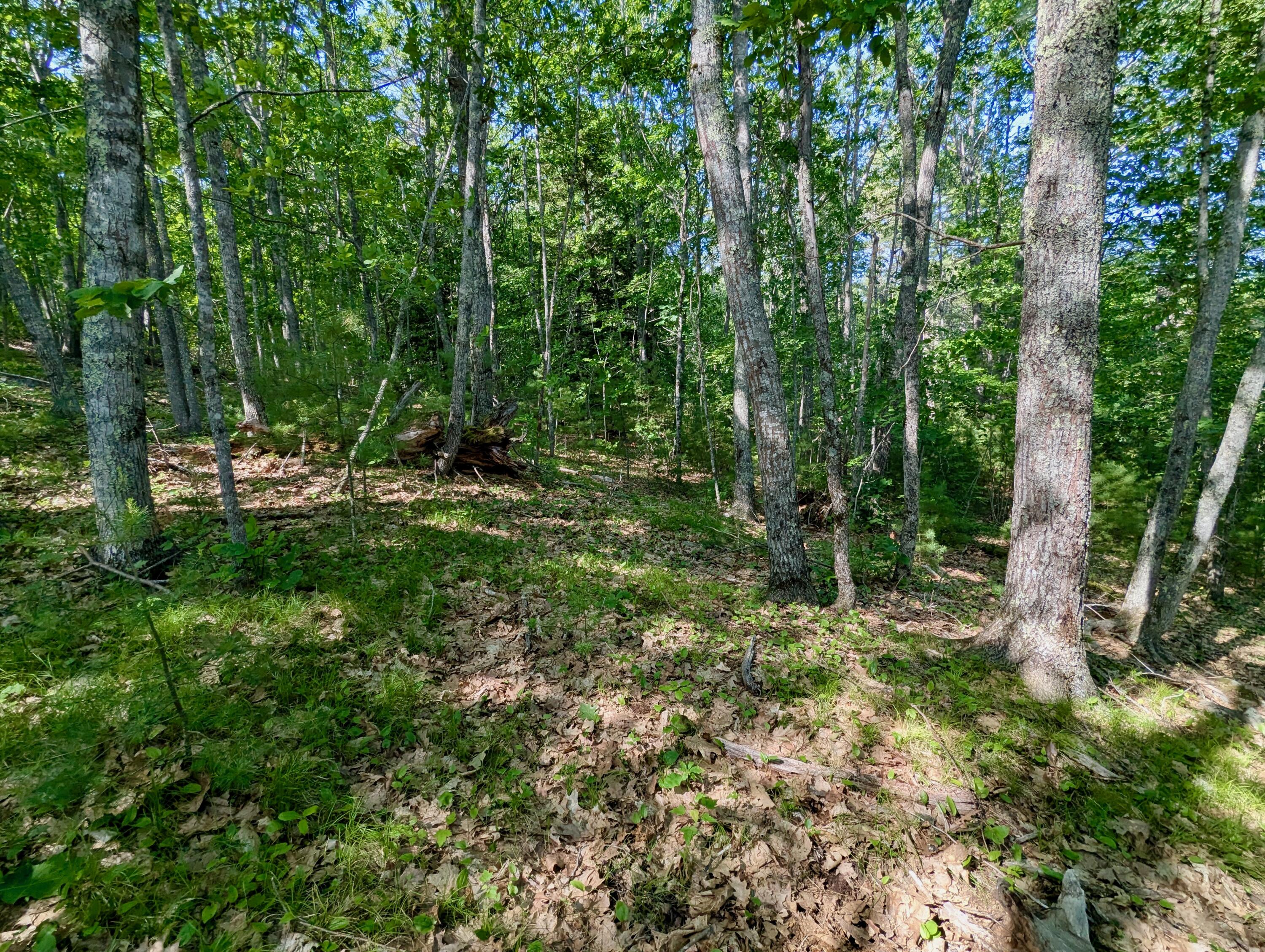 Lot Tbd West Hamlet Road Newcastle, ME 04553 - Photo 10 of 15 PXL_20250616_194709198
