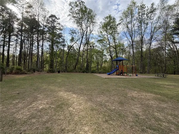 a view of a park with large trees