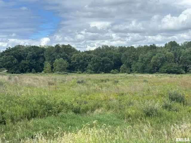 $325,000 | 2600 North 800 East Road, Edinburg, IL 62531