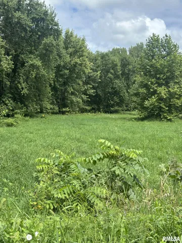 $325,000 | 2600 North 800 East Road, Edinburg, IL 62531