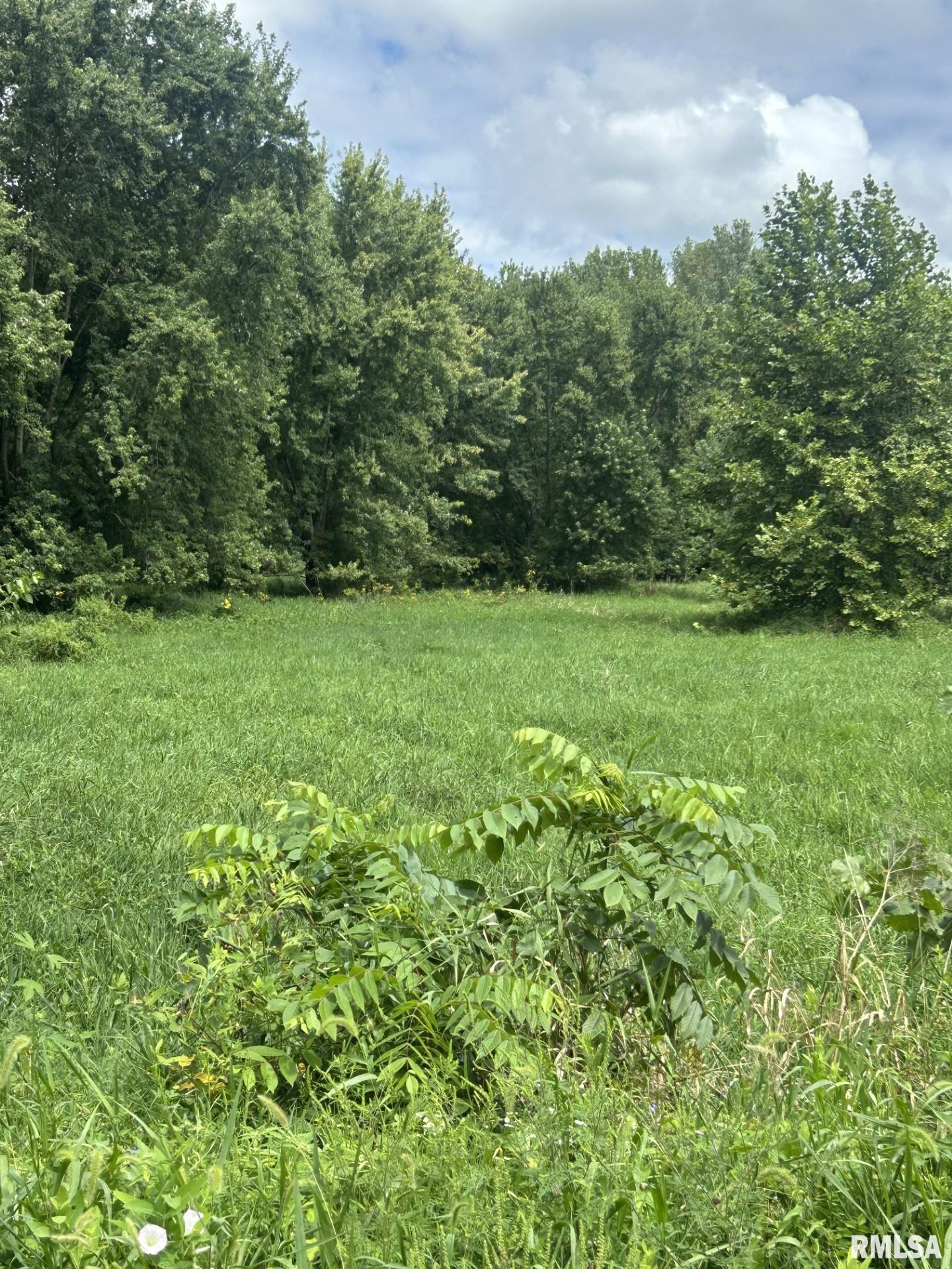 2600 North 800 East Road Edinburg, IL 62531 - Photo 2 of 4