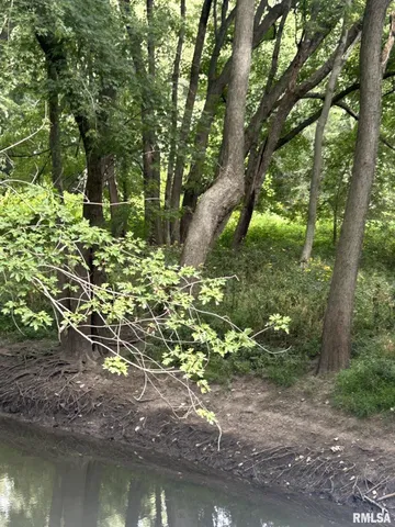 $325,000 | 2600 North 800 East Road, Edinburg, IL 62531