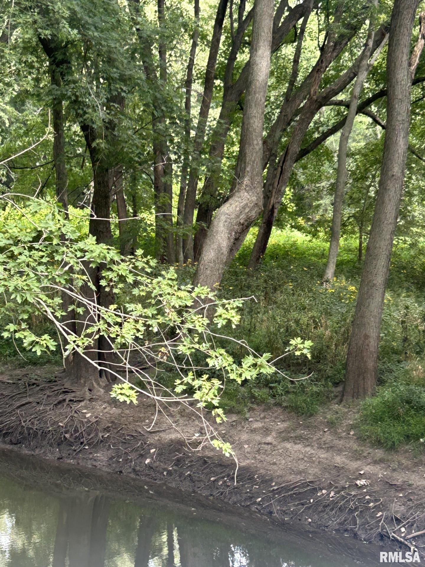 2600 North 800 East Road Edinburg, IL 62531 - Photo 3 of 4