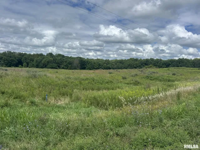 $325,000 | 2600 North 800 East Road, Edinburg, IL 62531